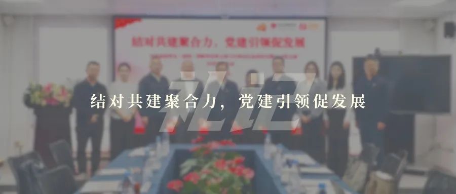 结对共建聚合力，党建引领促发展